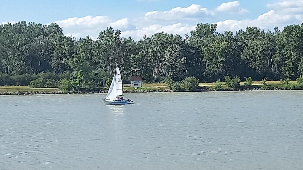 Donau (115)